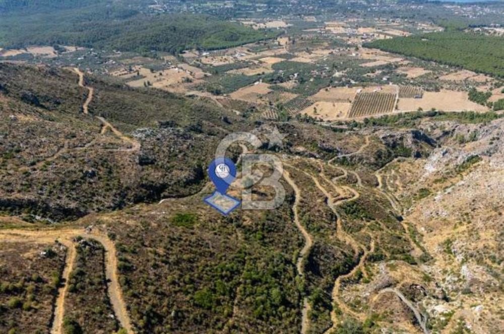 Muğla Köyceğiz Pınar da Yatırım Fırsatı