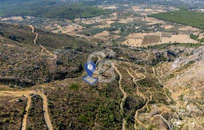 Muğla Köyceğiz Pınar da Yatırım Fırsatı