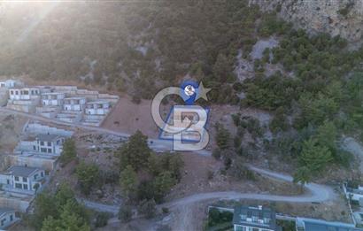 Marmaris Turunç ta Hayallerinizi Süsleyin