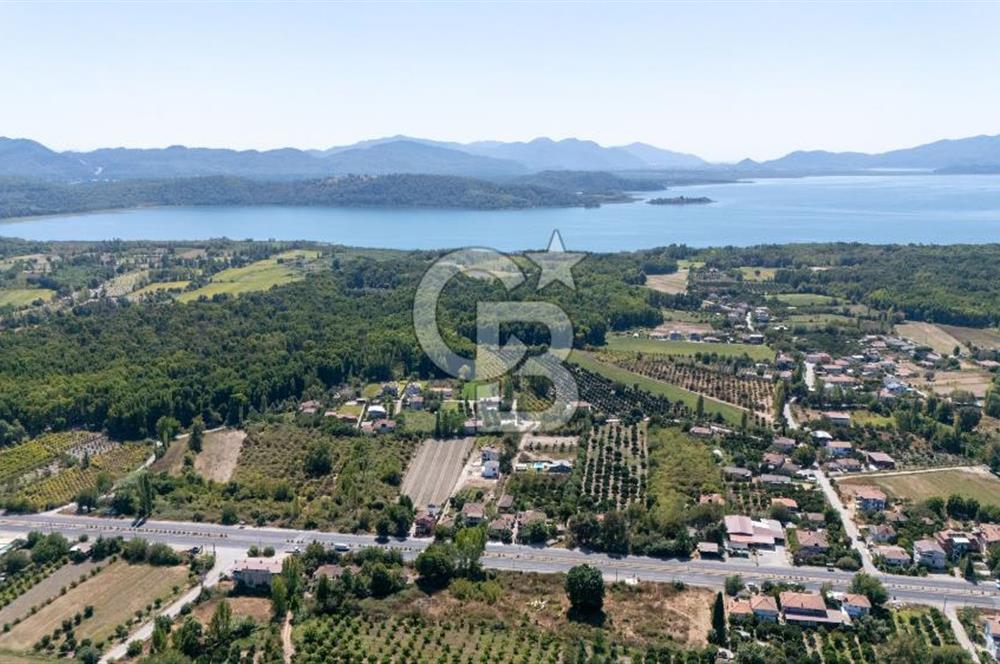 Muğla Köyceğiz Yangı da Yatırım Fırsatı