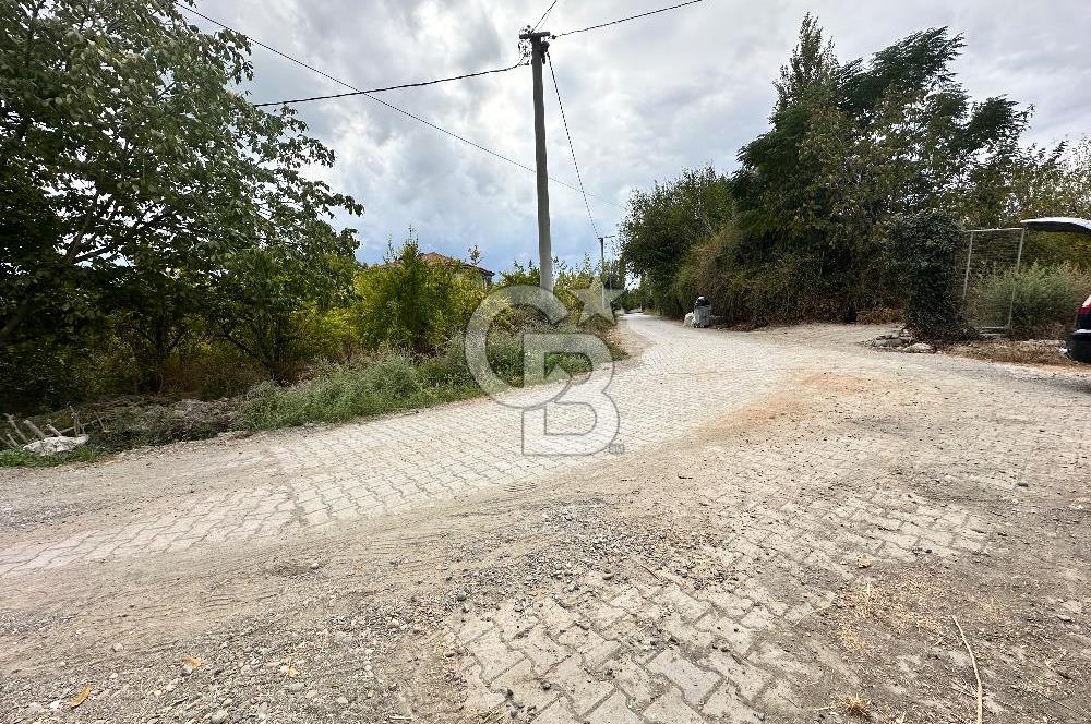 Muğla Köyceğiz Yangı da Yatırım Fırsatı