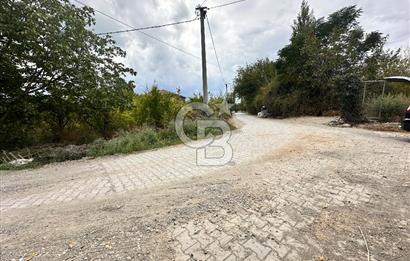Muğla Köyceğiz Yangı da Yatırım Fırsatı