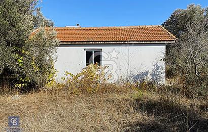 Urla Kuşçular Satılık  9605 M2 Tarla