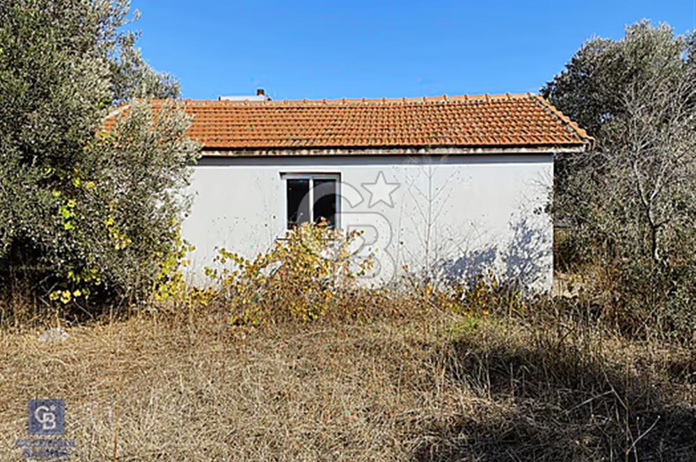 Urla Kuşçular Satılık  9605 M2 Tarla