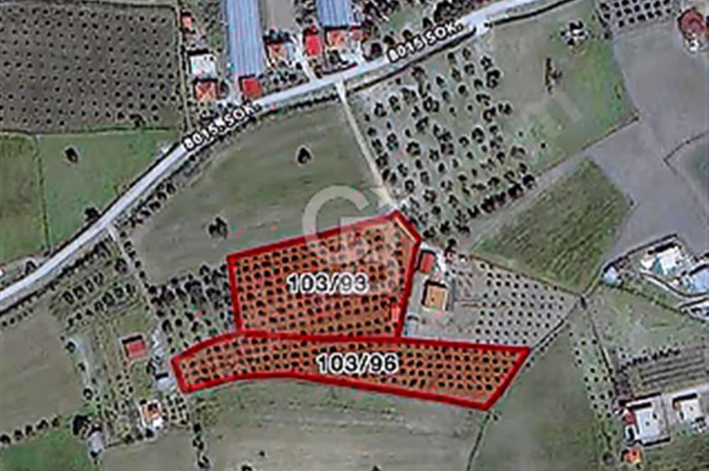 Urla Kuşçular Satılık  9605 M2 Tarla