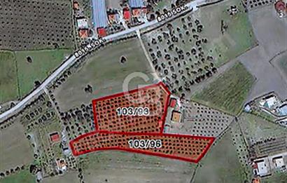 Urla Kuşçular Satılık  9605 M2 Tarla