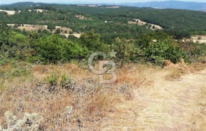 SATILIK ÇANAKKALE ÇAN BOSTANDERE KÖYÜ