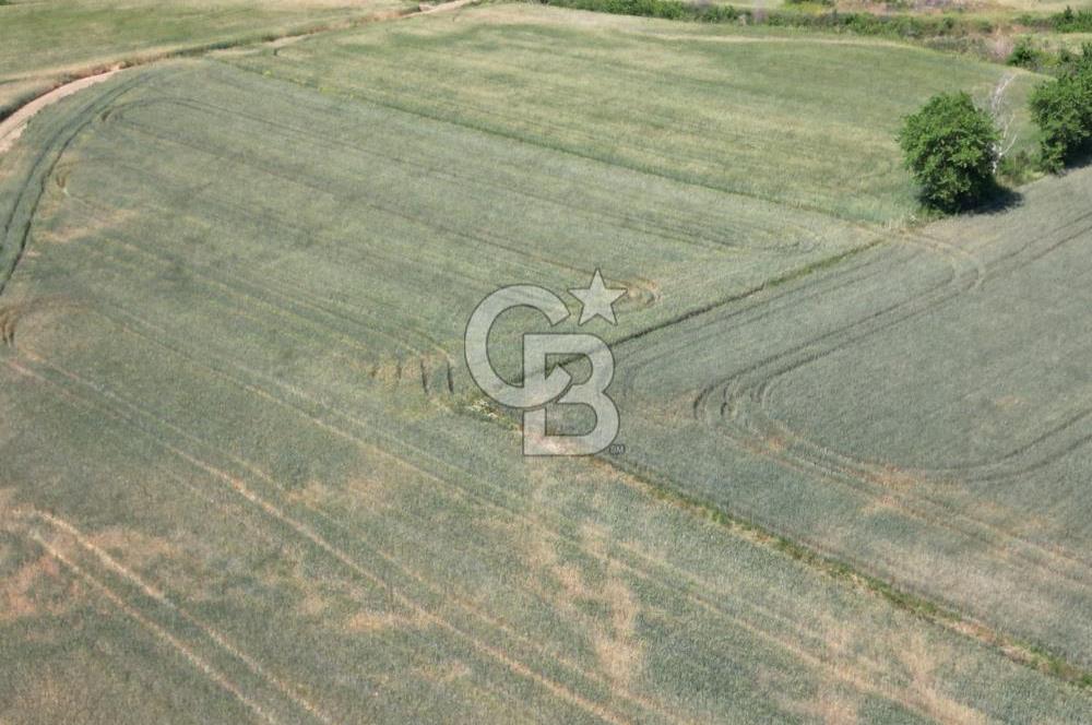 SATILK ÇANAKKALE ECEABAT ANAFARTALAR KÖYÜ