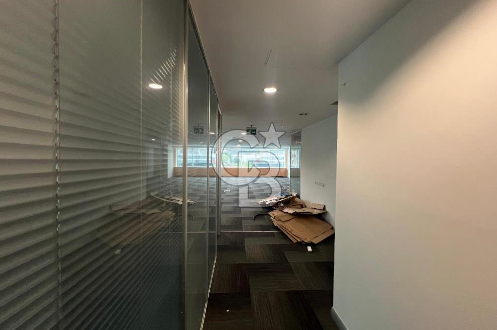 MASLAK POLARİS PLAZA MERKEZİ KONUM MASRAFSIZ 250 M2 KİRALIK OFİS