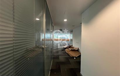 MASLAK POLARİS PLAZA MERKEZİ KONUM MASRAFSIZ 250 M2 KİRALIK OFİS