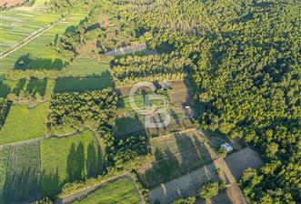 CB MARİNA'DAN SARAYYANI'NDA 2.136m2 ANA YOLA YAKIN TARLA
