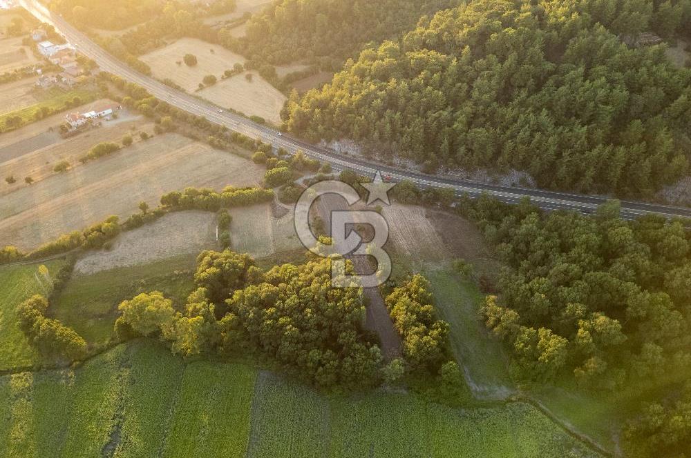 CB MARİNA'DAN ULA KIZILYAKA'DA 2.500M2 TİCARİ TARLA