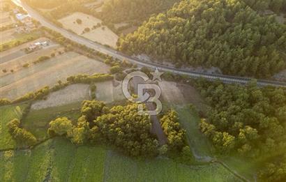 CB MARİNA'DAN ULA KIZILYAKA'DA 2.500M2 TİCARİ TARLA