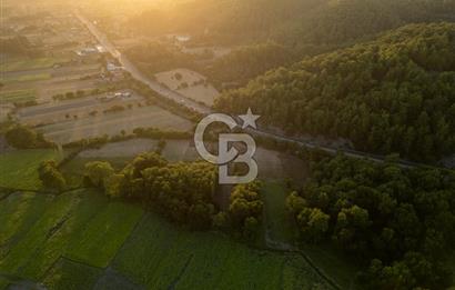 CB MARİNA'DAN ULA KIZILYAKA'DA 2.500M2 TİCARİ TARLA