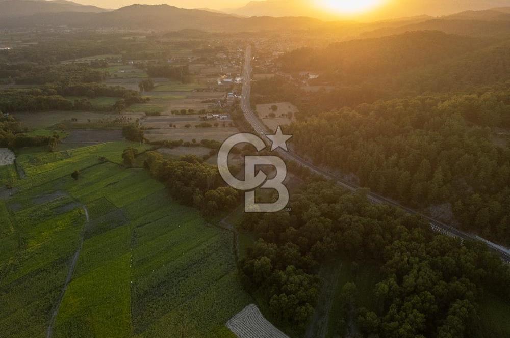 CB MARİNA'DAN ULA KIZILYAKA'DA 2.500M2 TİCARİ TARLA
