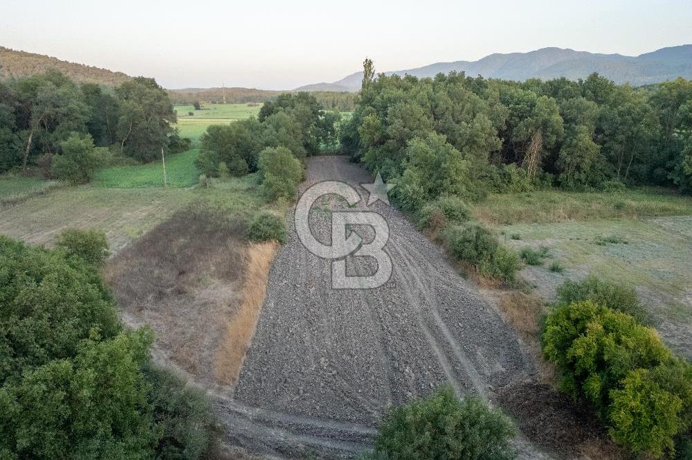 CB MARİNA'DAN ULA KIZILYAKA'DA 2.500M2 TİCARİ TARLA