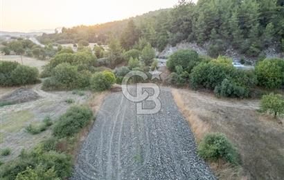CB MARİNA'DAN ULA KIZILYAKA'DA 2.500M2 TİCARİ TARLA
