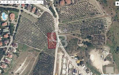 MUDANYA MÜRSEL TİCARİ İMARLI 1876 M2 SATILIK ARSA