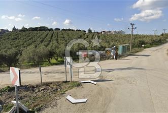 MUDANYA MÜRSEL TİCARİ İMARLI 1876 M2 SATILIK ARSA