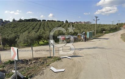 MUDANYA MÜRSEL TİCARİ İMARLI 1876 M2 SATILIK ARSA