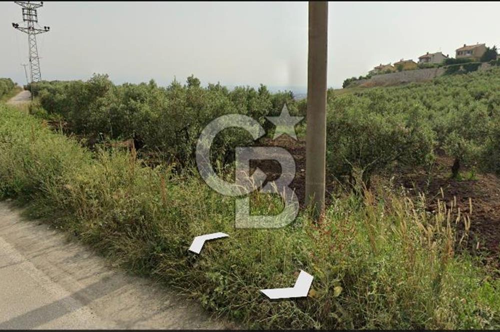 MUDANYA MÜRSEL TİCARİ İMARLI 1876 M2 SATILIK ARSA