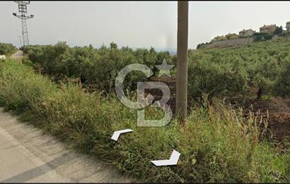 MUDANYA MÜRSEL TİCARİ İMARLI 1876 M2 SATILIK ARSA