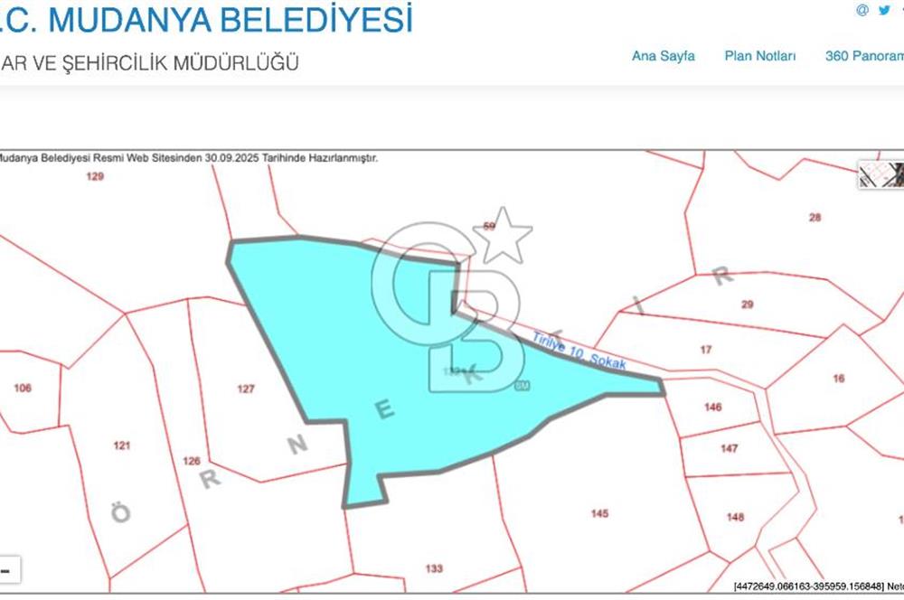 MUDANYA HALİLBEY MAHALLESİ SATILIK 14 DÖNÜM ARAZİ
