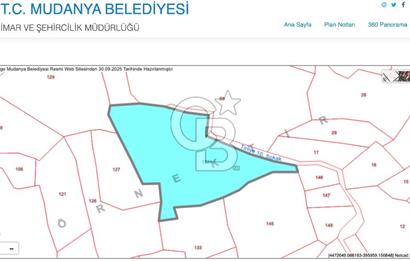 MUDANYA HALİLBEY MAHALLESİ SATILIK 14 DÖNÜM ARAZİ