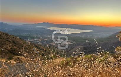 MUĞLA KÖYCEĞİZ PINAR DA DOĞA HARİKASI