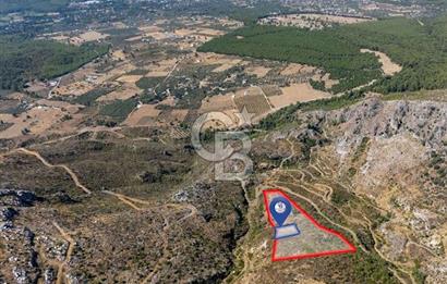 MUĞLA KÖYCEĞİZ PINAR DA DOĞA HARİKASI