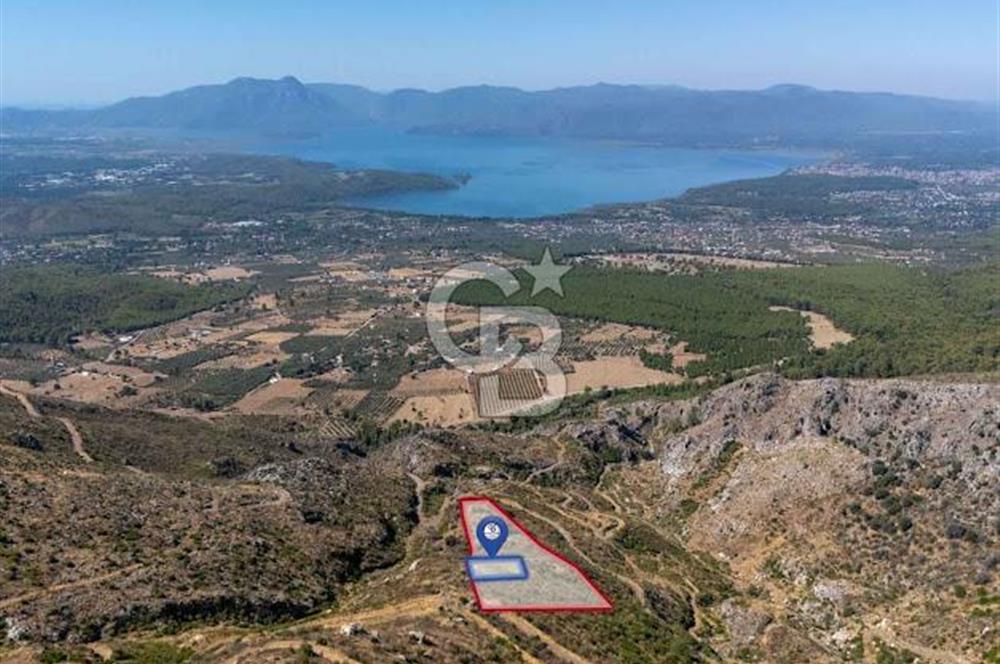MUĞLA KÖYCEĞİZ PINAR DA DOĞA HARİKASI