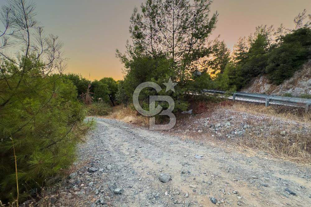 CB MARİNA'DAN ULA KIZILYAKA'DA 2.500M2 TİCARİ TARLA
