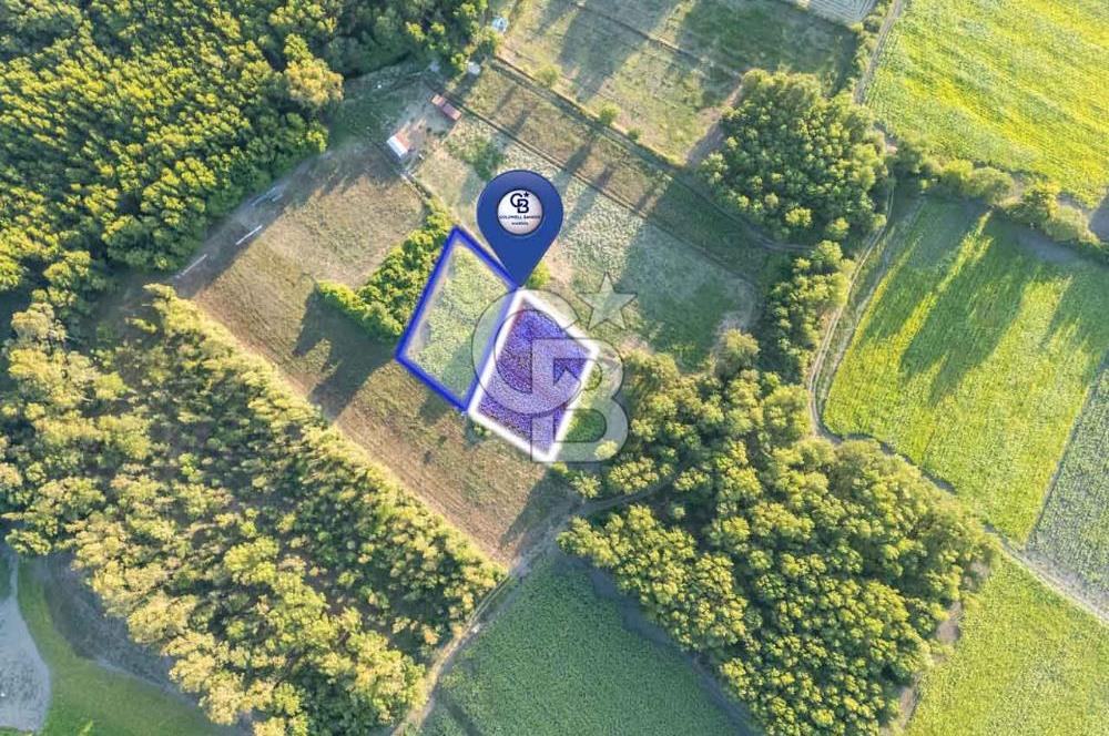 CB MARİNA'DAN SARAYYANI'NDA 2.136m2 ANA YOLA YAKIN TARLA