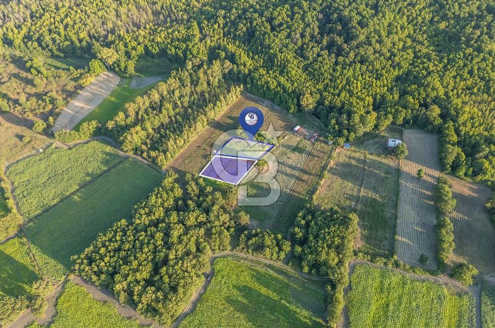 CB MARİNA'DAN SARAYYANI'NDA 2.136m2 ANA YOLA YAKIN TARLA