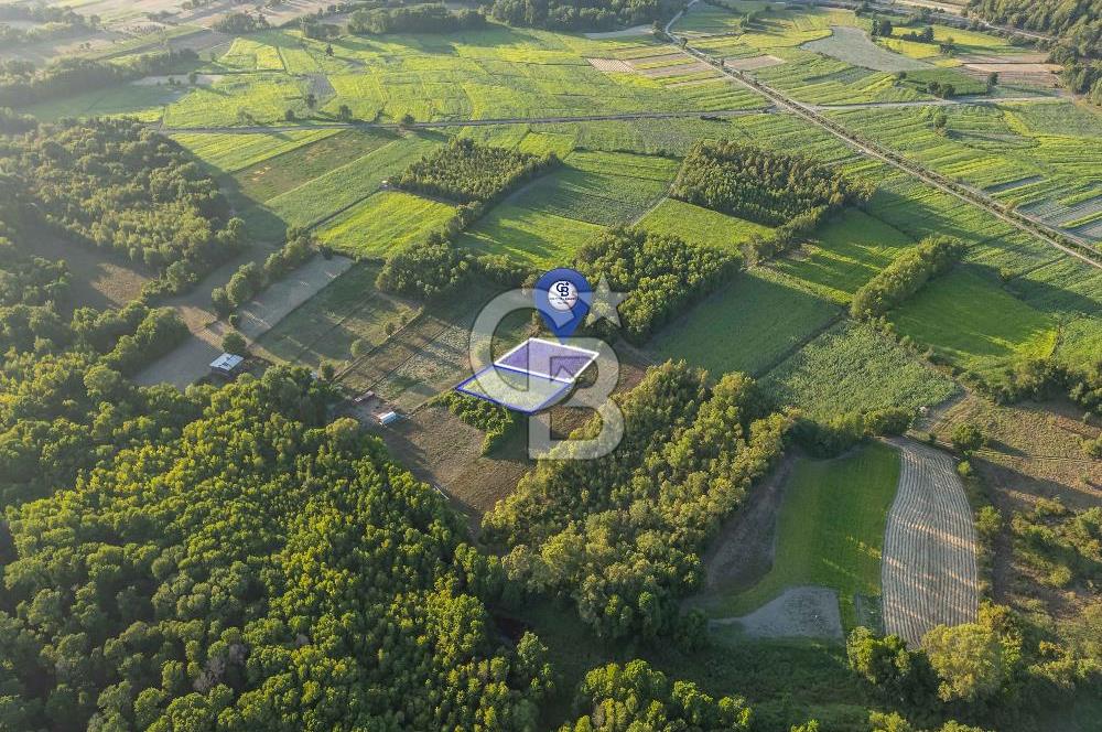 CB MARİNA'DAN SARAYYANI'NDA 2.136m2 ANA YOLA YAKIN TARLA