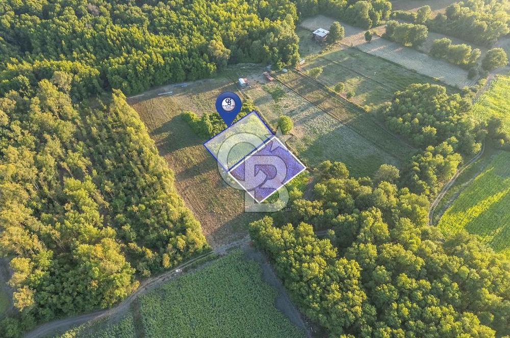CB MARİNA'DAN SARAYYANI'NDA 2.136m2 ANA YOLA YAKIN TARLA