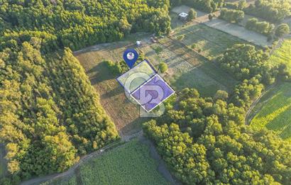 CB MARİNA'DAN SARAYYANI'NDA 2.136m2 ANA YOLA YAKIN TARLA
