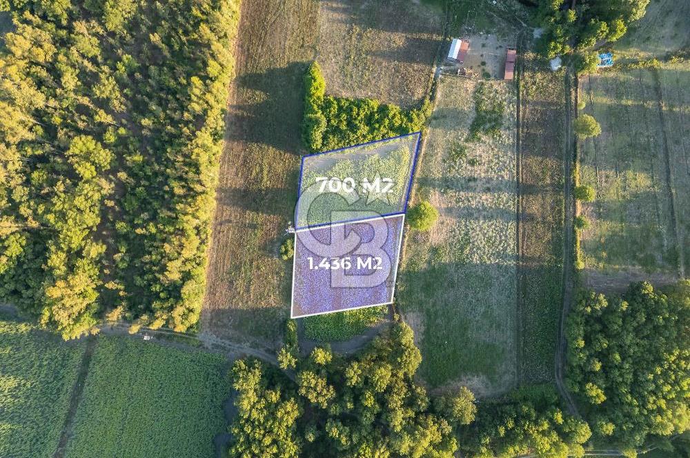 CB MARİNA'DAN SARAYYANI'NDA 2.136m2 ANA YOLA YAKIN TARLA