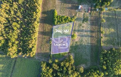 CB MARİNA'DAN SARAYYANI'NDA 2.136m2 ANA YOLA YAKIN TARLA