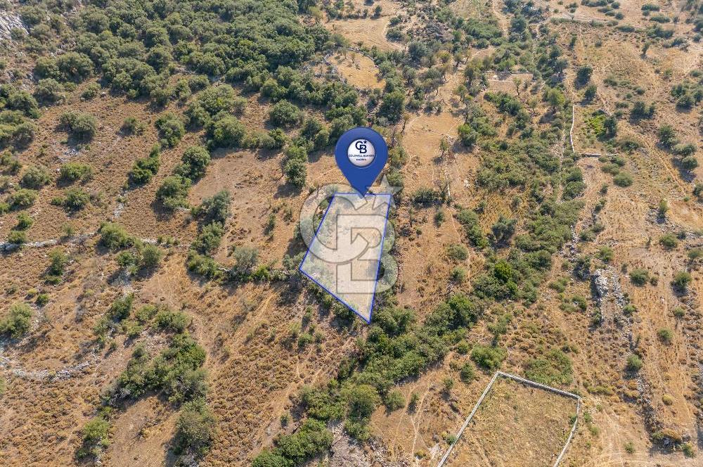 CB MARİNA'DAN BOZBURUN'DA 521m2 YATIRIMLIK TARLA