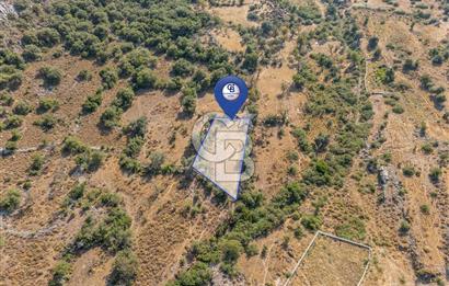 CB MARİNA'DAN BOZBURUN'DA 521m2 YATIRIMLIK TARLA