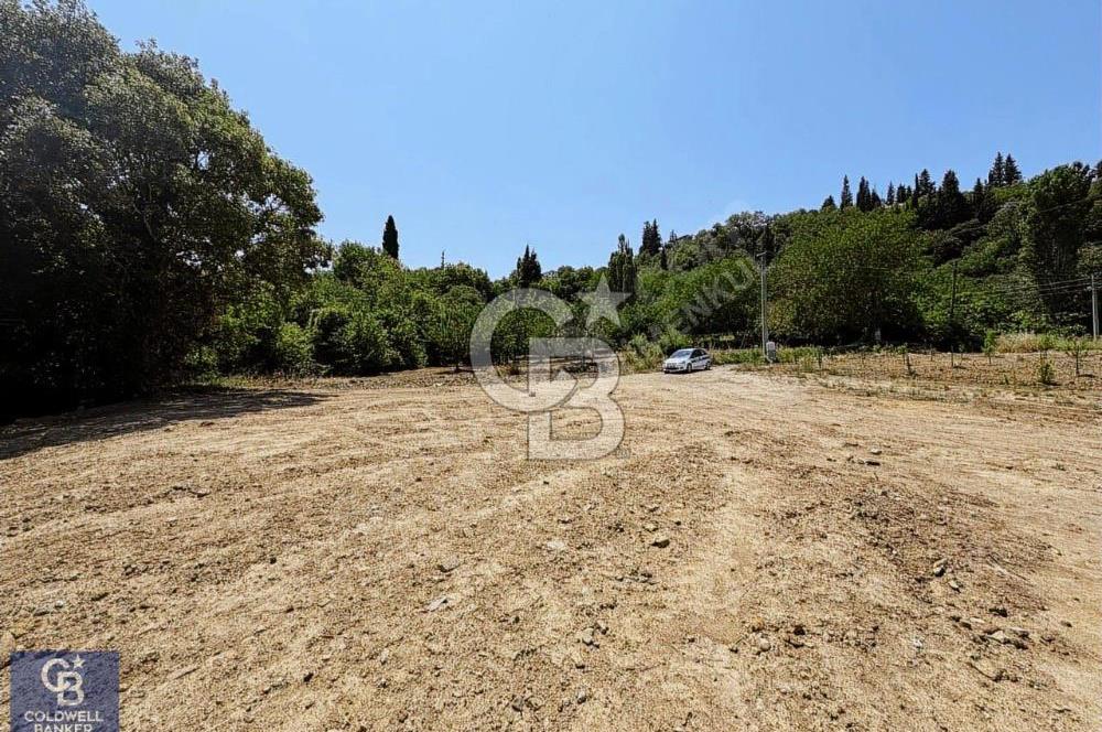 CB ENOY'dan Karamürsel Pazarköy'de 495m2 İmarlı Arsa