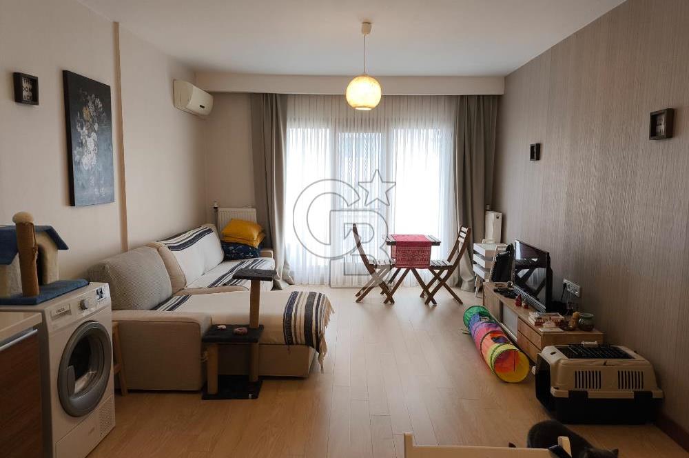 BARIŞ MAHALLESİ KONFORMİST SİTESİNDE 1+1 KİRALIK DAİRE
