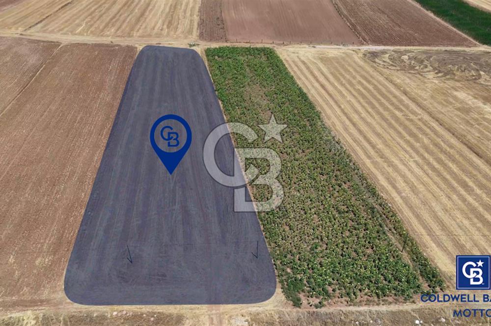 Dinar Yaka Köyü Yatırıma Uygun Satılık Tarla 6412 m²