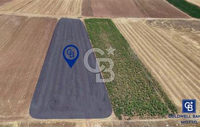 Dinar Yaka Köyü Yatırıma Uygun Satılık Tarla 6412 m²