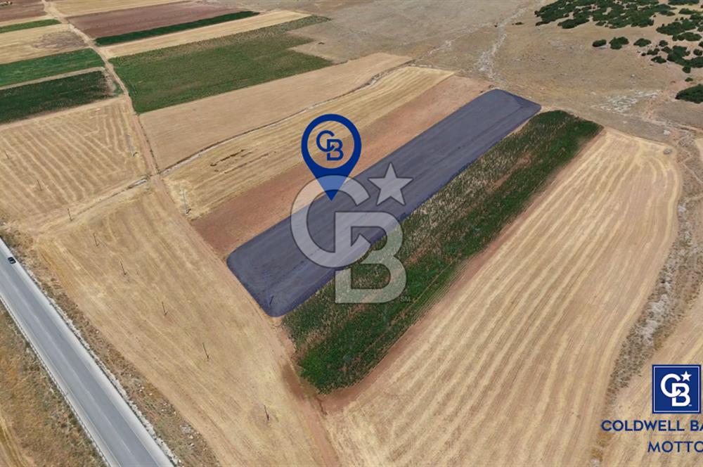 Dinar Yaka Köyü Yatırıma Uygun Satılık Tarla 9900 m²