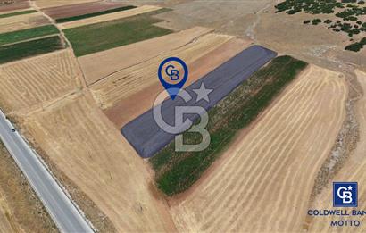 Dinar Yaka Köyü Yatırıma Uygun Satılık Tarla 9900 m²