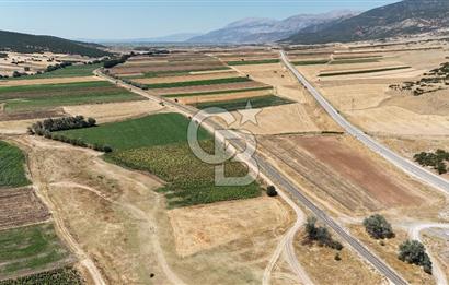 Dinar Yaka Köyü Yatırıma Uygun Satılık Tarla 9900 m²
