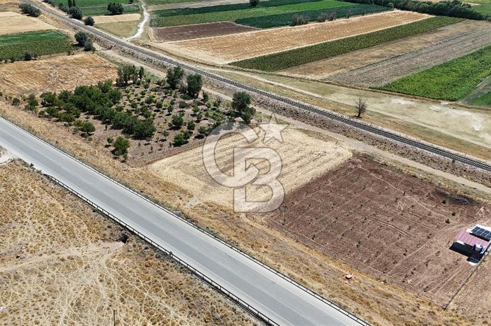 Dinar Yaka Köyü Yatırıma Uygun Satılık Tarla 9900 m²