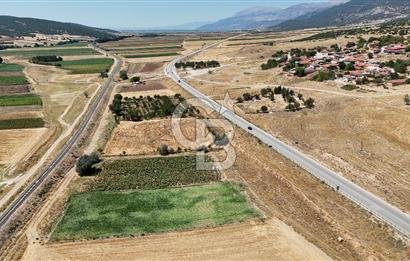 Dinar Yaka Köyü Yatırıma Uygun Satılık Tarla 9900 m²